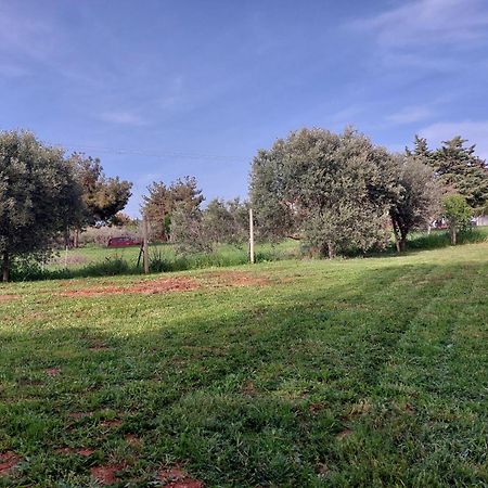 Black N' White Cozy Housegarden Alexandroupoli Esterno foto
