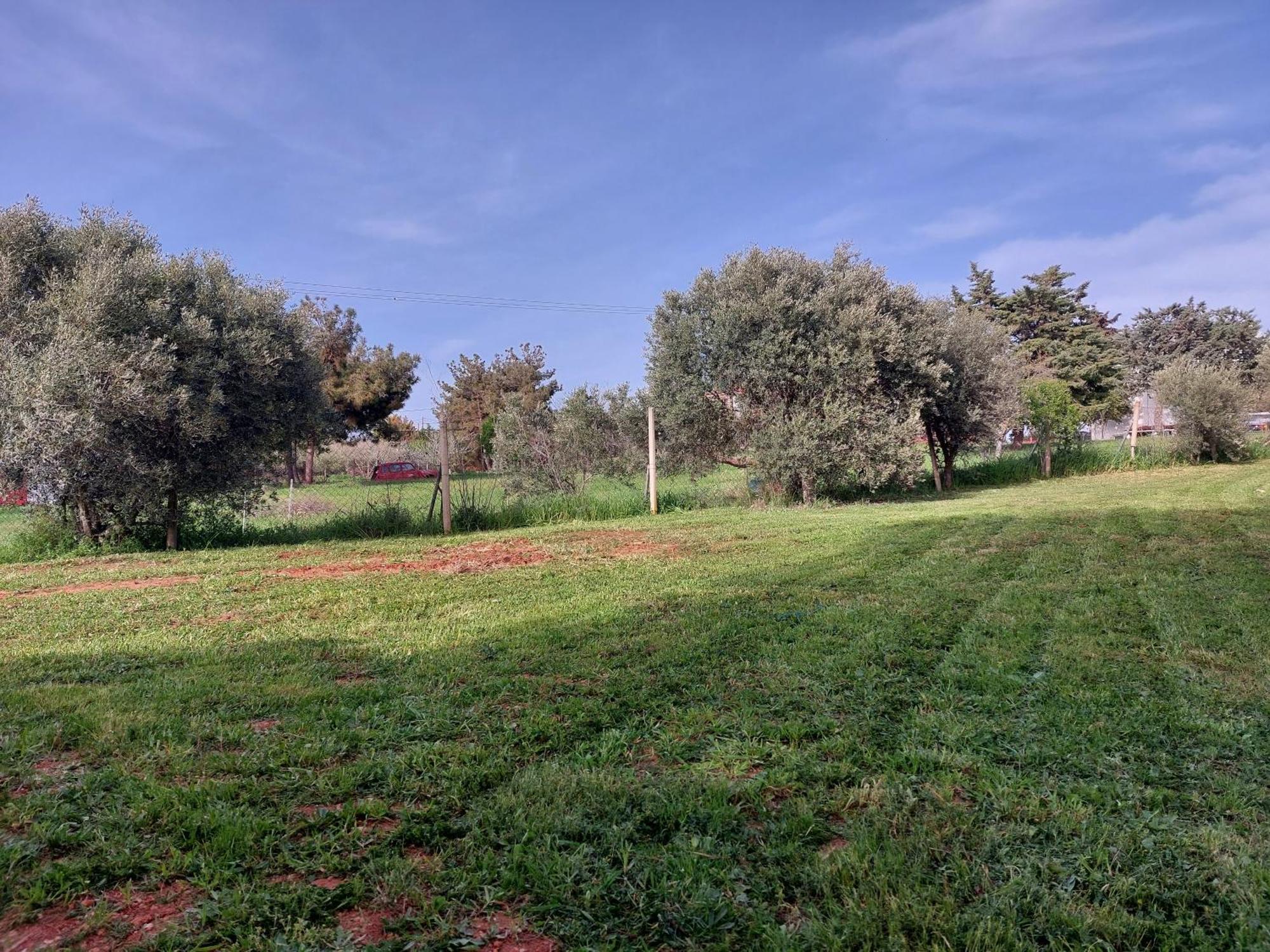 Black N' White Cozy Housegarden Alexandroupoli Esterno foto
