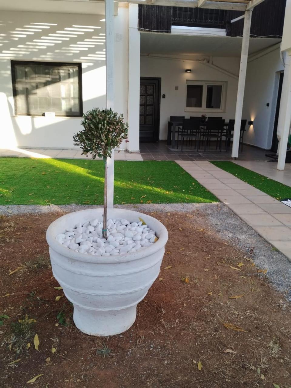 Black N' White Cozy Housegarden Alexandroupoli Esterno foto